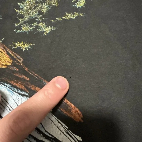 Screen Stars Black Eagle Graphic T-Shirt - Picture 14 of 16